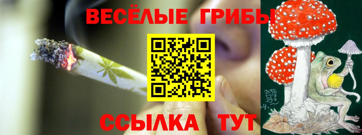 закладки  Вход с VPN  Владикавказ  Галлюциногенные грибы Magic Shrooms 